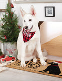 Buffalo Check Holiday Dog Bandanas - Mudpie Fall Puppy Collar