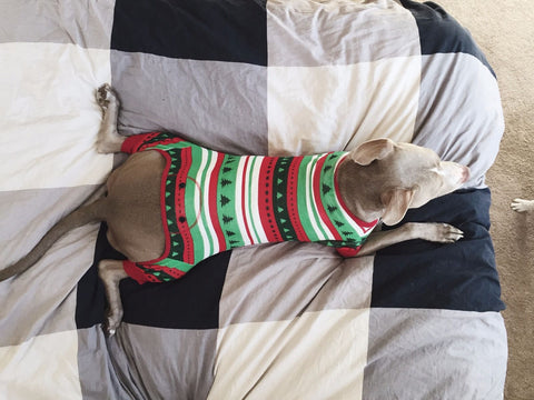 Special Delivery Dog Flapjacks (Pajamas) - Lazy One